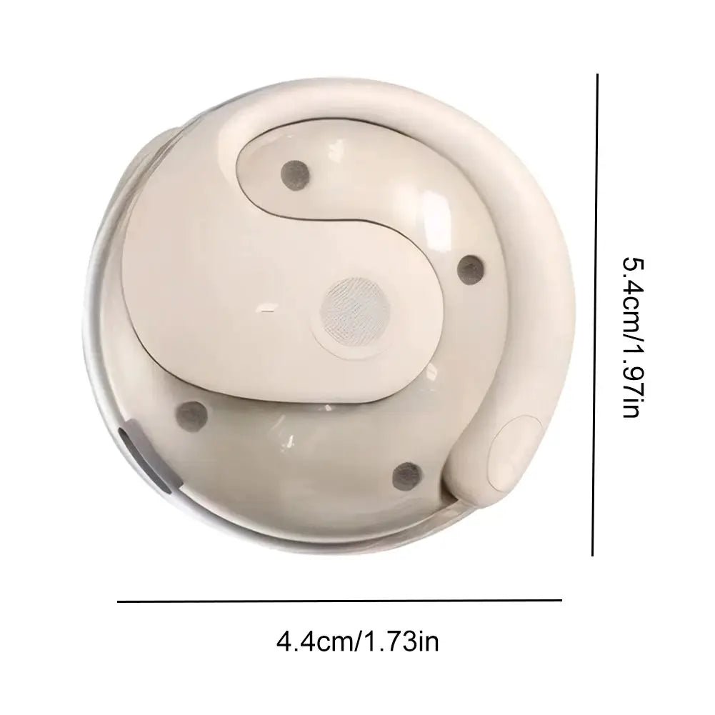 Travel Earphones Real-Time Translation