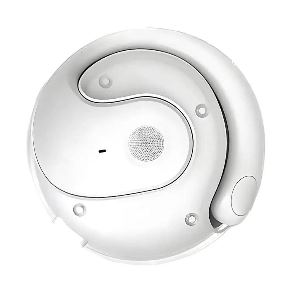Travel Earphones Real-Time Translation