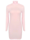 Trendy Turtleneck Bodycon Dress for Sophisticated Women