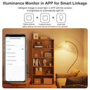 Tuya 4InOne Presence Detector - WiFi Zigbee PIR MmWave Motion Sensor Smart Homes