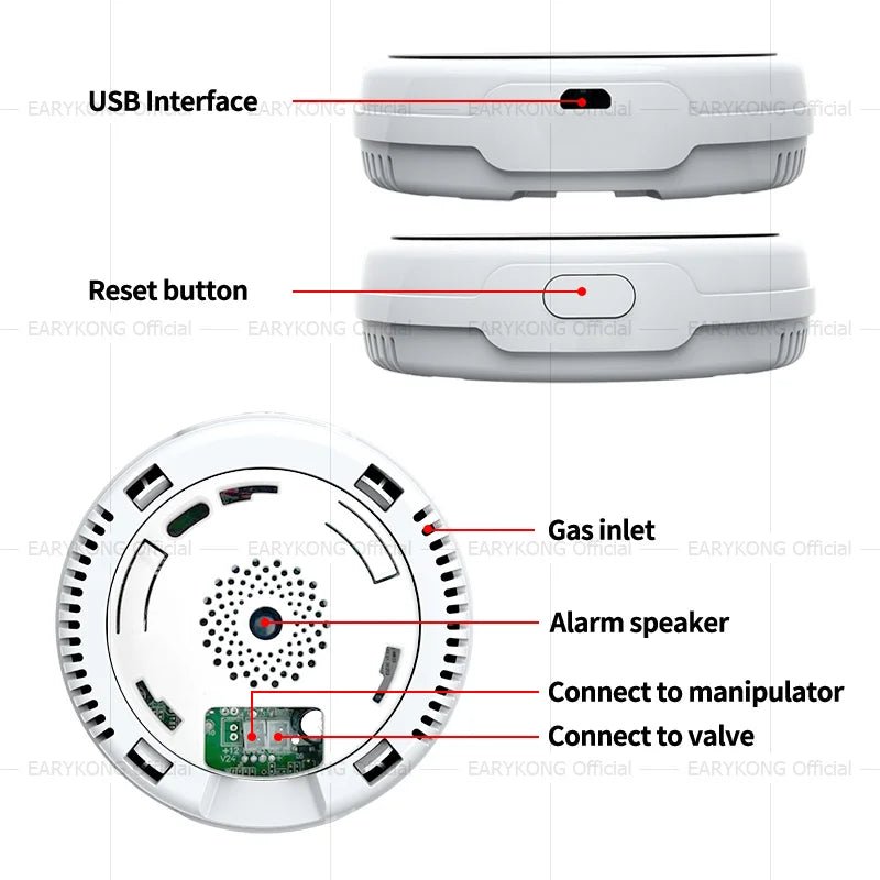 Tuya WiFi Gas Detector - LPG And Natural Gas Leak Alarm With Smart Life App Plus