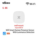 Tuya ZigBee WiFi MmWave Presence Sensor - Luminance