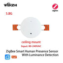 Tuya ZigBee WiFi MmWave Presence Sensor - Luminance
