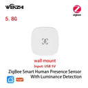 Tuya ZigBee WiFi MmWave Presence Sensor - Luminance