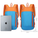 Lightweight Daypack for Gym and Travel