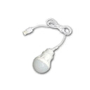 USB LED Bulb: Portable Energy Efficient Lighting Solution