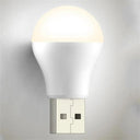 USB LED Bulb: Portable Energy Efficient Lighting Solution