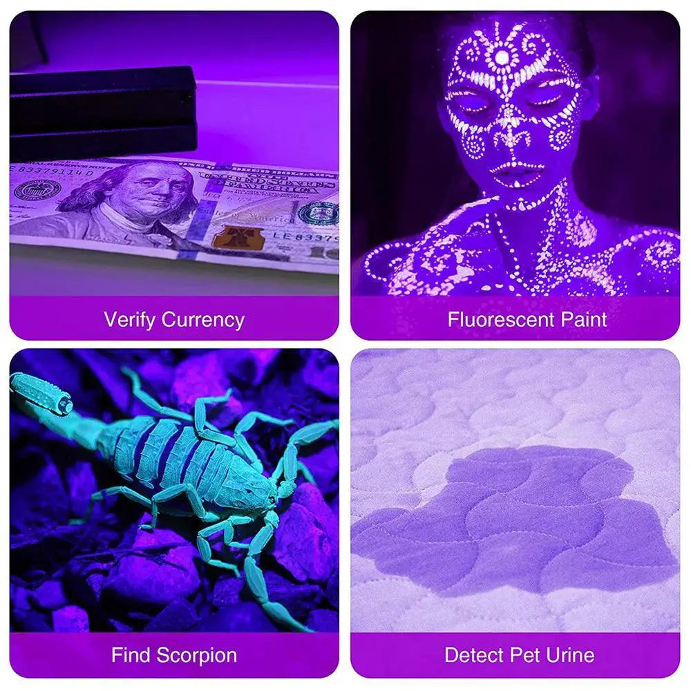UV Blacklight Flashlight for Hidden Pet Urine - OurLum.com