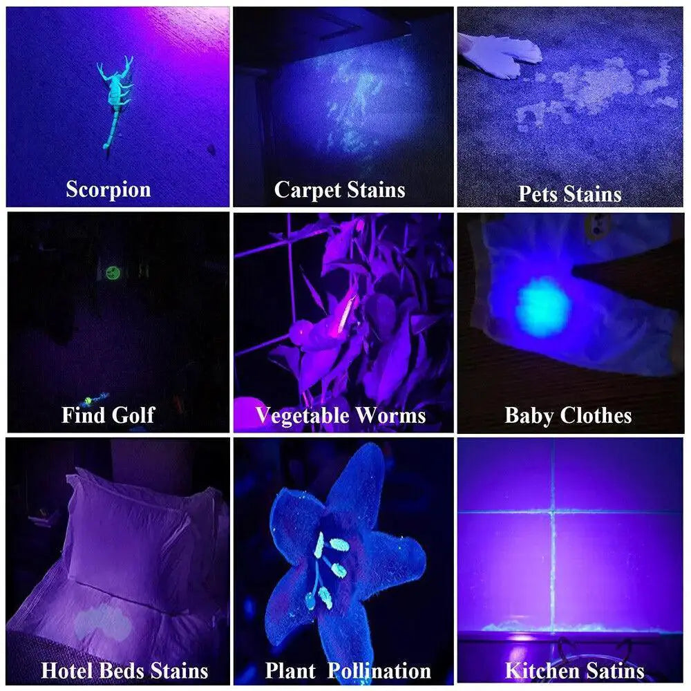 UV Blacklight Flashlight For Stain Detection And Cleaning
