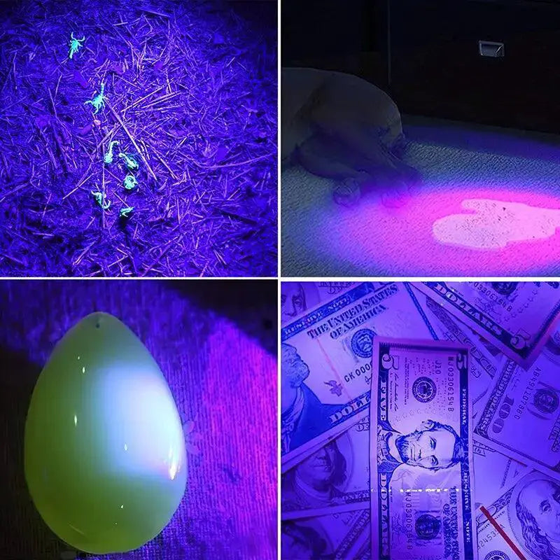 UV LED Blacklight Portable Violet Light Detector 395nm Torch