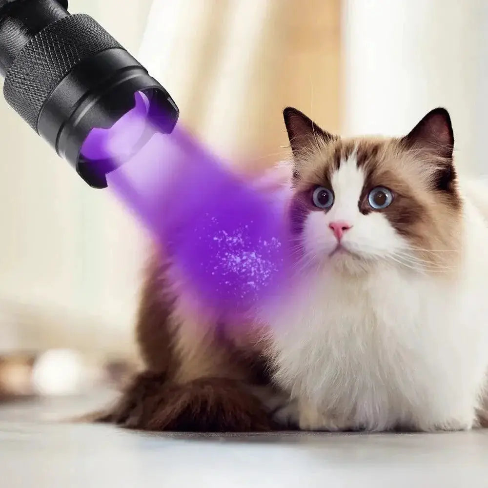 UV LED Mini Zoomable Inspection Torch for Pet Stains
