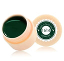 Venalisa Gel Polish Set Nail Art Kit