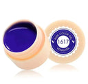 Venalisa Gel Polish Set Nail Art Kit