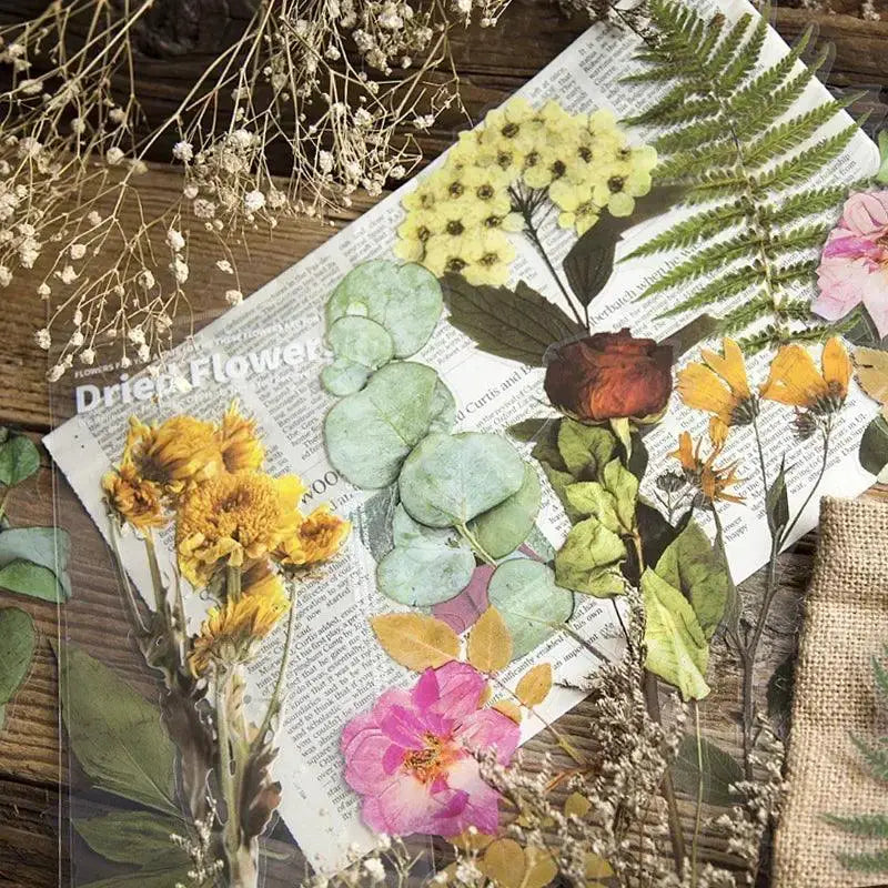 Vintage Dried Flower Stickers for Scrapbooking Journaling