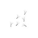 Volume Lash Extensions for Glamour Women