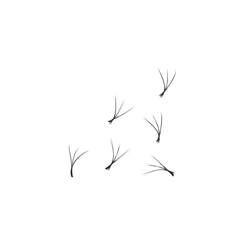 Voluminous Clover 3D W Lash Extensions Elevate Glamour
