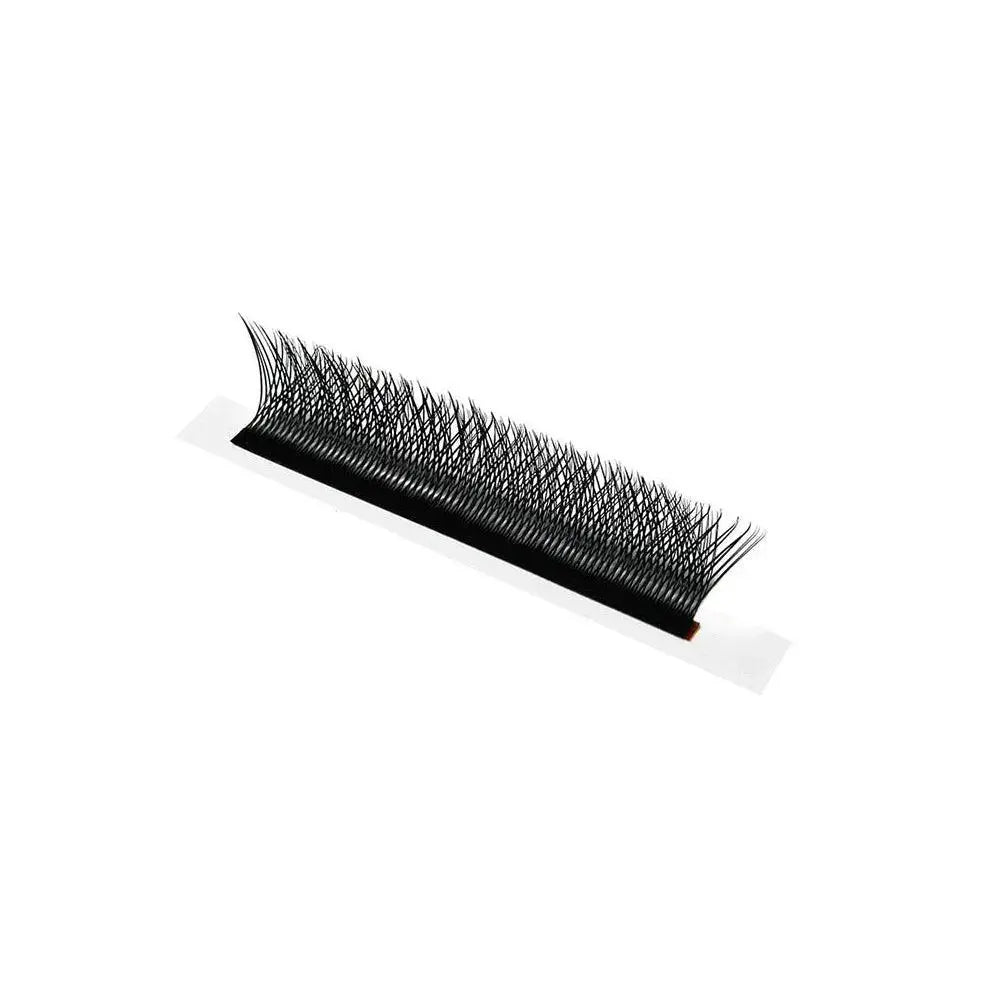 Voluminous Clover 3D W Lash Extensions Elevate Glamour
