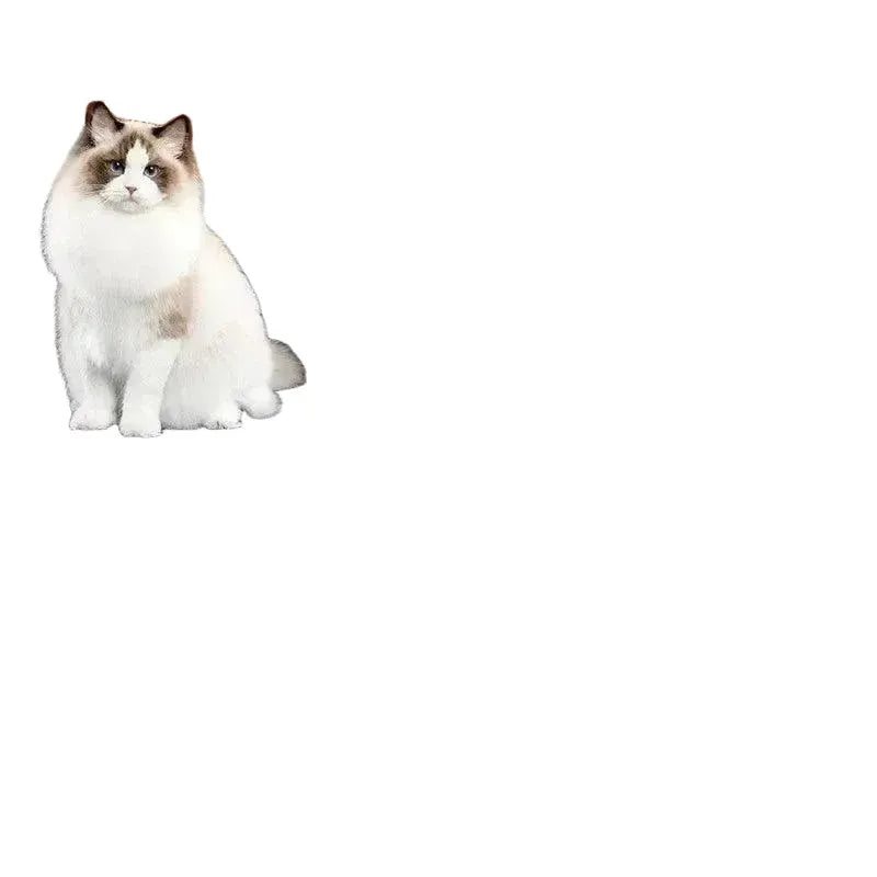 Cat Litter Mat for Cats Keeps Clean — product view 1