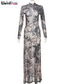 Weird Puss Mesh Maxi Dress: Autumn Y2K Fashion Statement