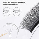 Wendy Lashes 6D Premium Mink Eyelash Extensions W Shape Flutter