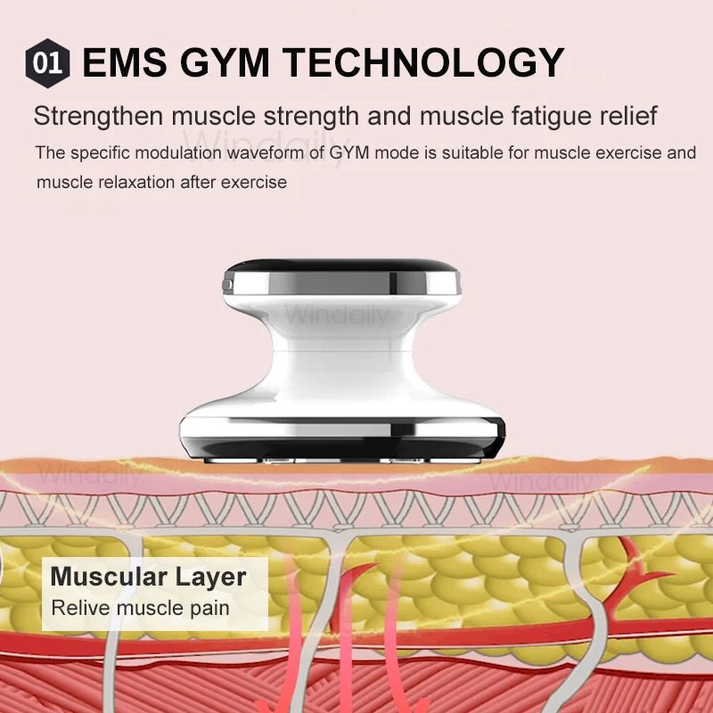 Windaily EMS and RF Body Slimming Machine for Fast Fat Burn and Cellulite