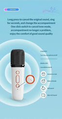 Clear Sound Karaoke System for Home Use