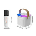 Clear Sound Karaoke System for Home Use