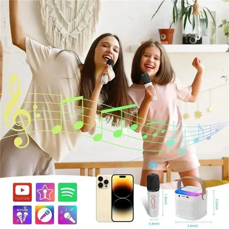 Wireless Dual Microphones Karaoke System KTV DSP - OurLum.com