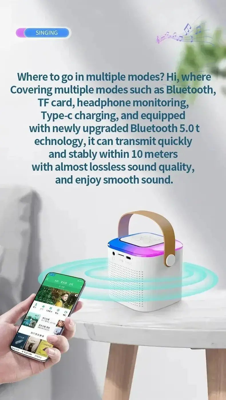 Clear Sound Karaoke System for Home Use — product view 12