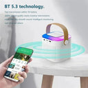 Clear Sound Karaoke System for Home Use