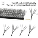 All Day Eyelash Extensions for Women