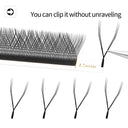All Day Eyelash Extensions for Women