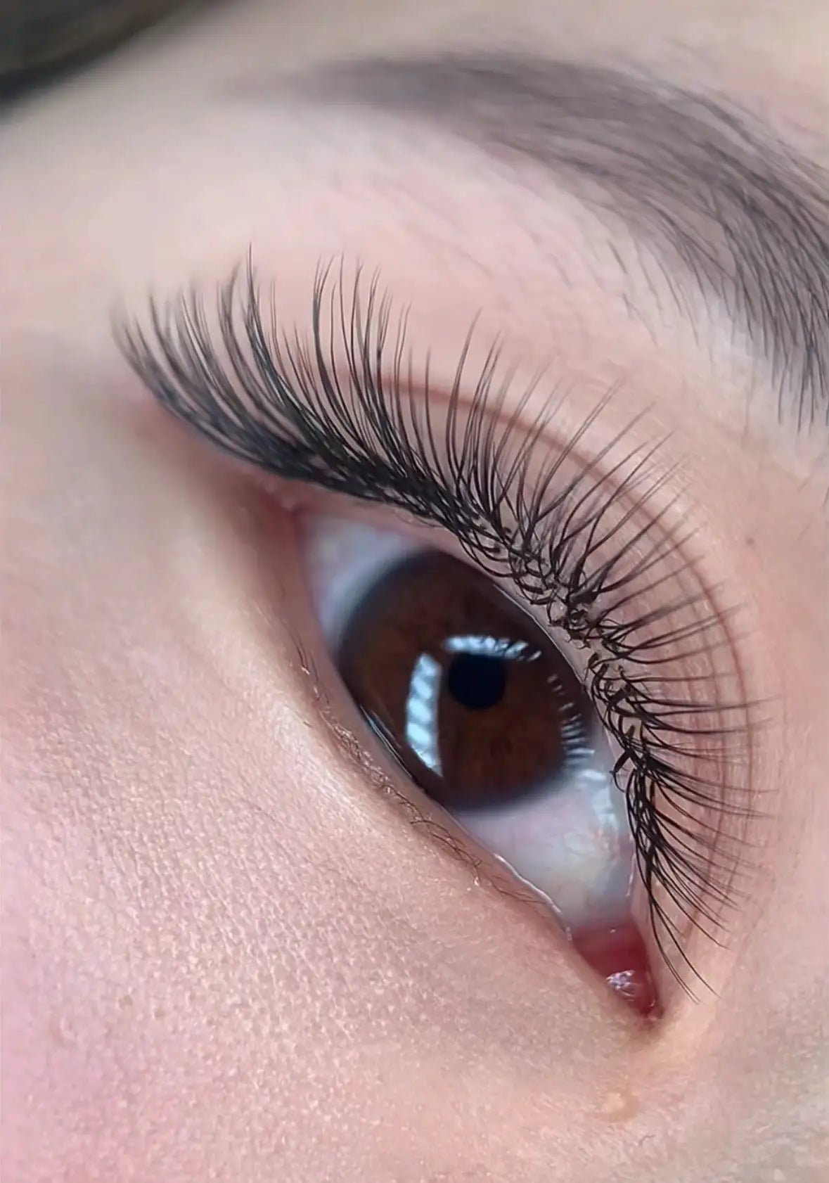 XIUSUZAKI U Shaped Flower Eyelash Extensions Matte Black 2D Premade Fans Volume