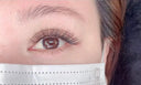 Salon-Grade Volume Lashes for Artists