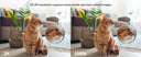 2K Indoor Camera for Home Monitoring