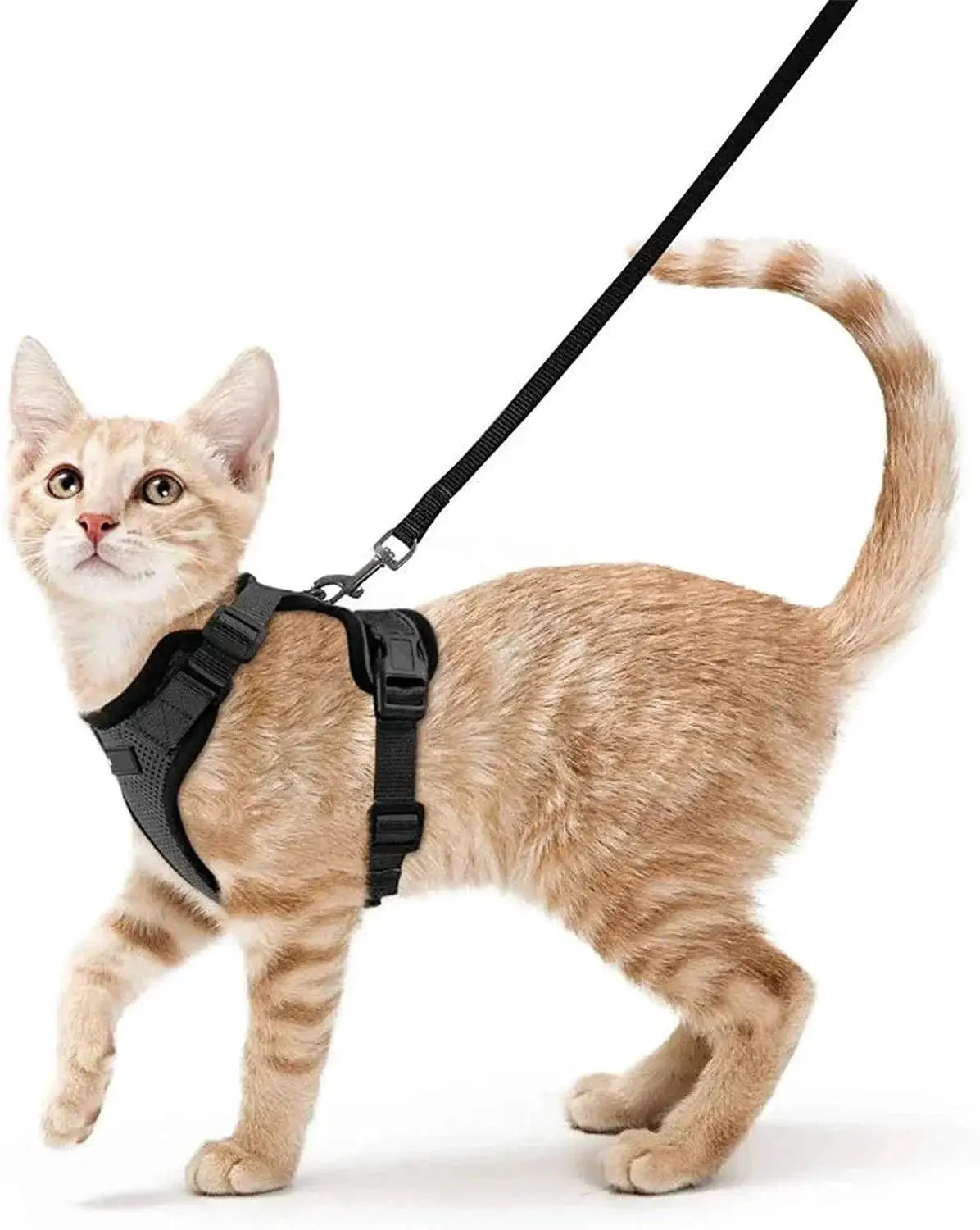 YOKEE Cat Harness and Leash Set for Small Cats Comfort